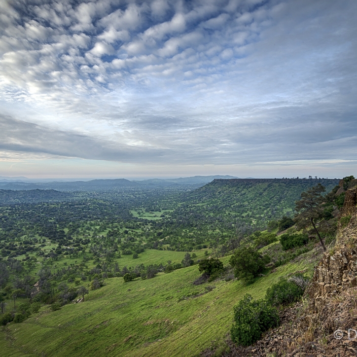 SFC’s Ruth McKenzie Table Mountain Preserve
